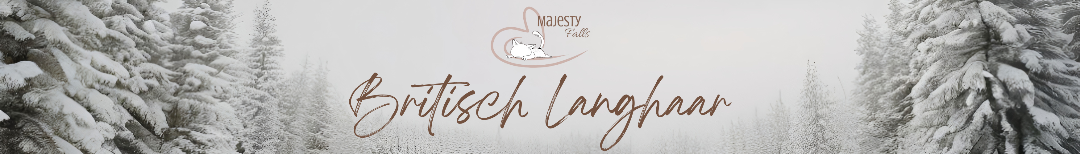 MajestyFalls Britisch Langhaar Zucht Banner