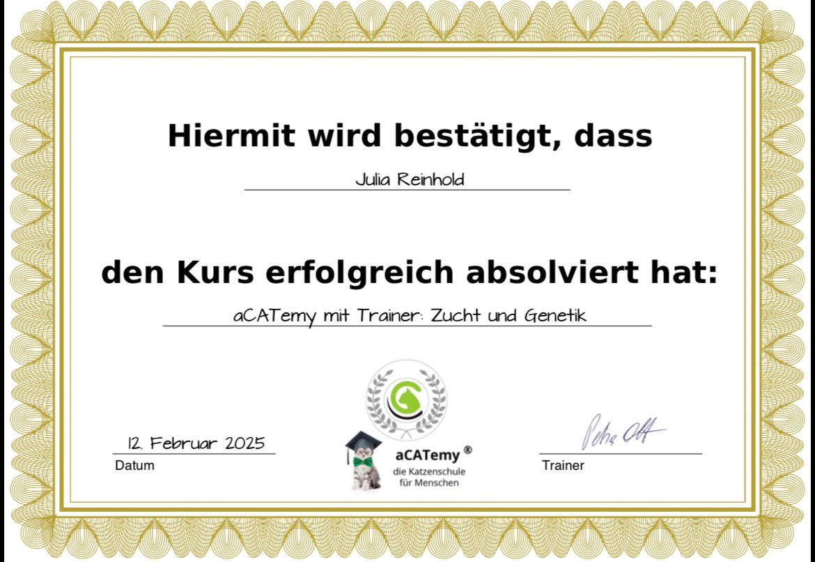 Zertifikat 1