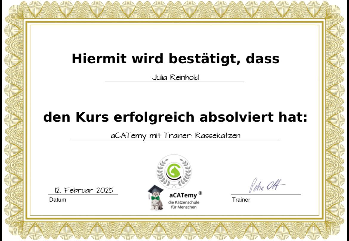 Zertifikat 2